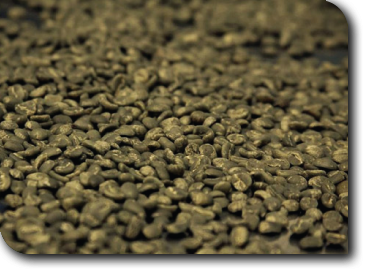 Portfolio slider image